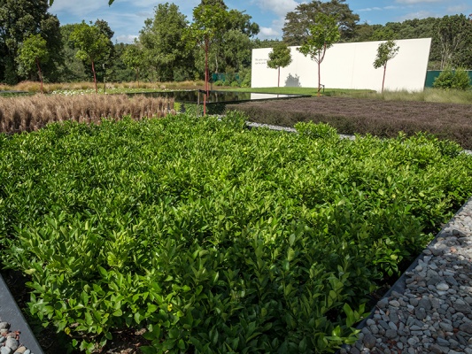 新西兰汉密尔顿花园 Hamilton Gardens