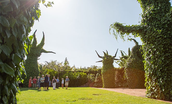 新西兰汉密尔顿花园 Hamilton Gardens