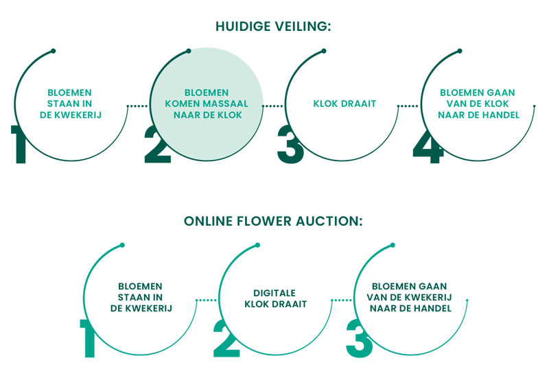 面向未来的花卉拍卖系统Online Flower Auction