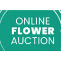 面向未来的花卉拍卖Online Flower Auction