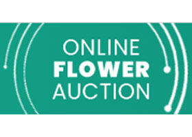面向未来的花卉拍卖Online Flower Auction