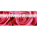 英国Bentley West玫瑰苗圃 Bentley West Roses Ltd