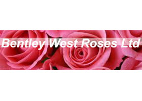 英国Bentley West玫瑰苗圃 Bentley West Roses Ltd