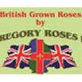 英国 C.Gregory玫瑰苗圃 C.Gregory Roses Ltd