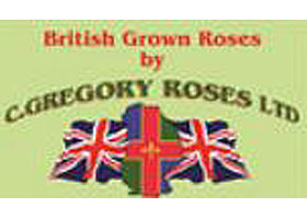 英国 C.Gregory玫瑰苗圃 C.Gregory Roses Ltd