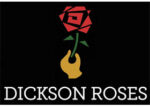 英国DICKSON玫瑰苗圃 DICKSON ROSES