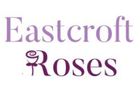 英国Eastcroft玫瑰苗圃 Eastcroft Roses