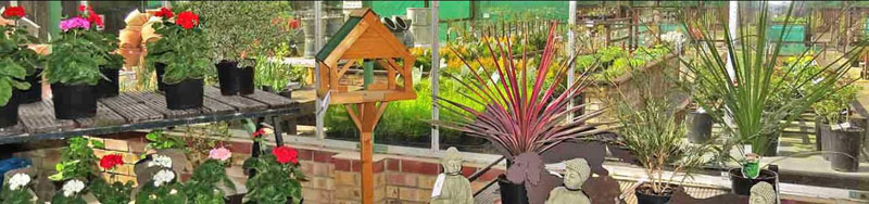 英国Layham花园中心 Layham Garden Centre