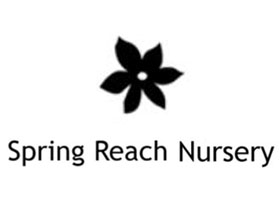 英国春天到达苗圃 Spring Reach Nursery