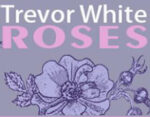 英国Trevor白玫瑰苗圃 Trevor White Roses