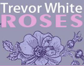 英国Trevor白玫瑰苗圃 Trevor White Roses