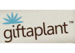 英国Giftaplant植物礼物商店