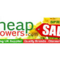 英国Cheapmowers廉价割草机网