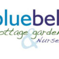 英国风铃草村舍花园和苗圃 Bluebell Cottage Gardens and Nursery