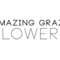 澳大利亚墨尔本Amazing Graze花店 Amazing Graze Flowers