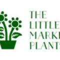 澳大利亚Little market鲜花和植物商店