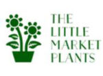 澳大利亚Little market鲜花和植物商店