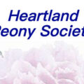 美国Heartland牡丹协会