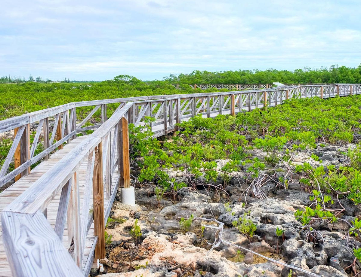 带骨鱼池国家公园 Bonefish Pond National Park