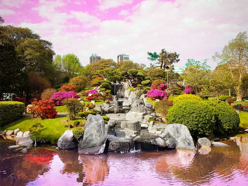 阿根廷日本花园