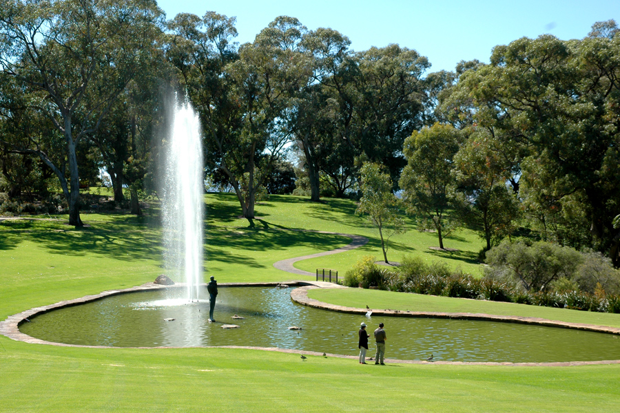澳大利亚国王公园和植物园