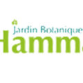 阿尔及利亚HAMMA植物园