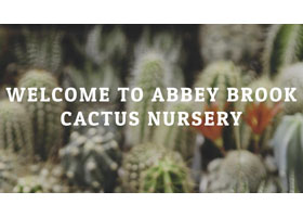 英国阿贝溪仙人掌苗圃 Abbey Brook Cactus Nursery