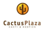 荷兰CactusPlaza多肉植物在线商店