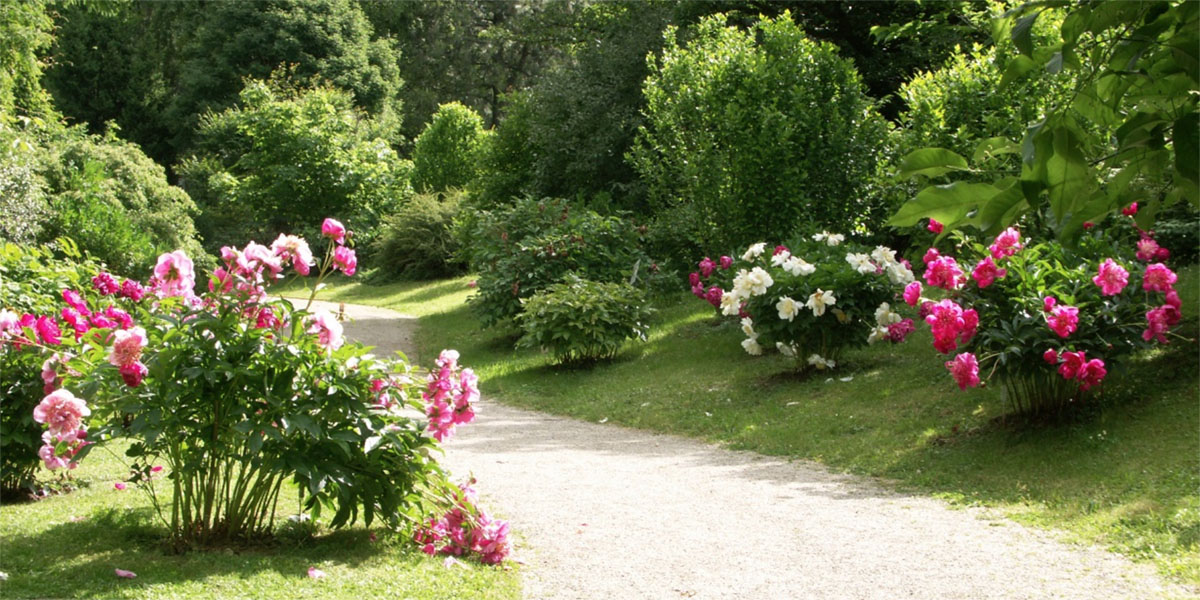 奥地利林茨植物园 Linzer Botanischen Gartens