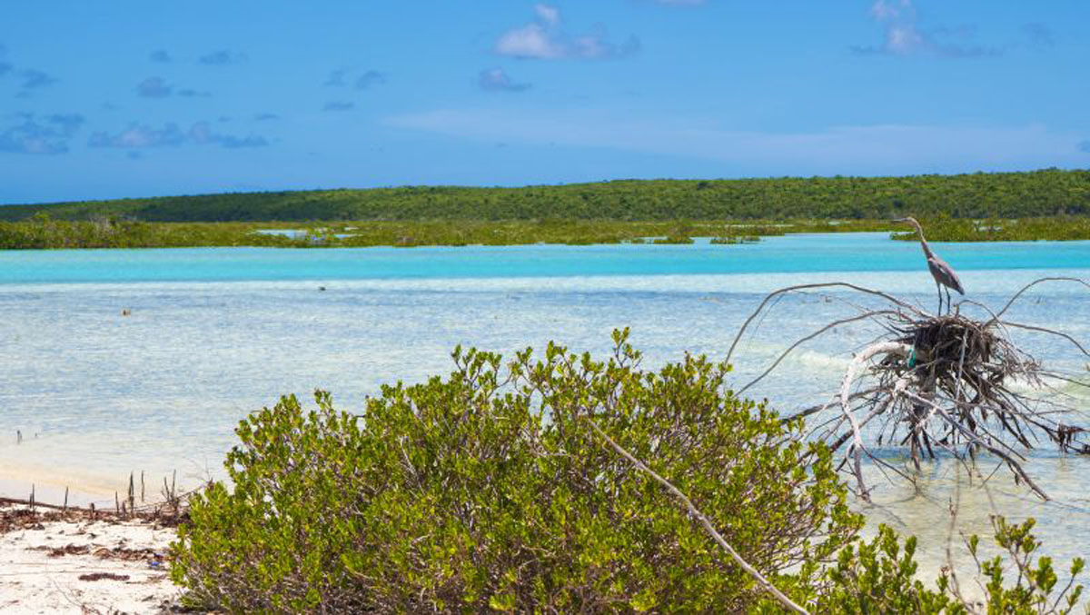 巴哈马群岛顶级划船国家公园