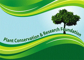 孟加拉国植物保护与研究基金会