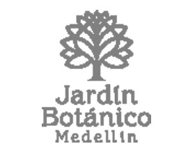 哥伦比亚Medellín植物园