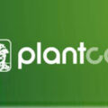 比利时PLANTCOL植物收藏项目