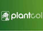 比利时PLANTCOL植物收藏项目