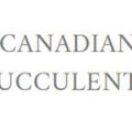 加拿大多肉植物商店