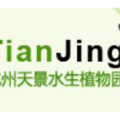 杭州天景水生植物园