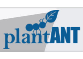 美国Plantant批发植物和苗圃目录