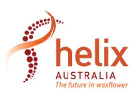 澳大利亚Helix蜡花和Boronia植物公司 Helix Australia