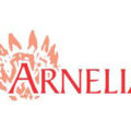 南非Arnelia苗圃