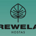 英国Rewela玉簪苗圃