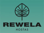 英国Rewela玉簪苗圃