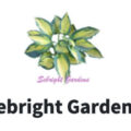 美国Sebright花园Sebright Gardens