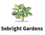 美国Sebright花园Sebright Gardens