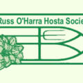 美国Russ O’Harra玉簪协会