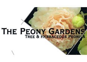新西兰牡丹花园The Peony Gardens