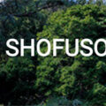 美国松风庄日本花园Shofuso