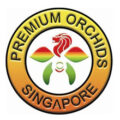 新加坡高级兰花集团Premium Orchids