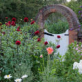 充满传统意蕴的英格兰现代英式花园
