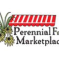 美国多年生植物农场Perennial Farm Marketplace