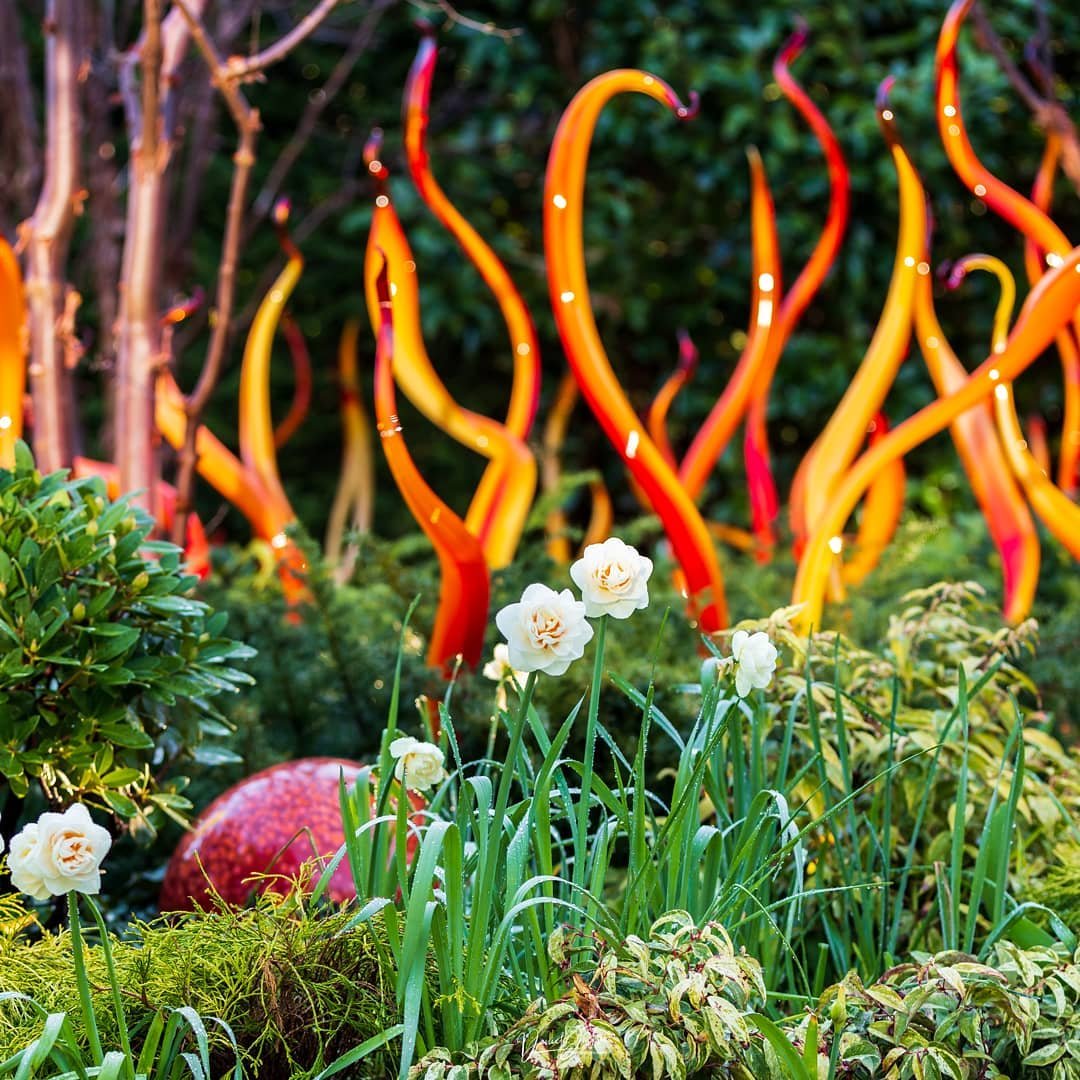 美国Chihuly玻璃艺术园